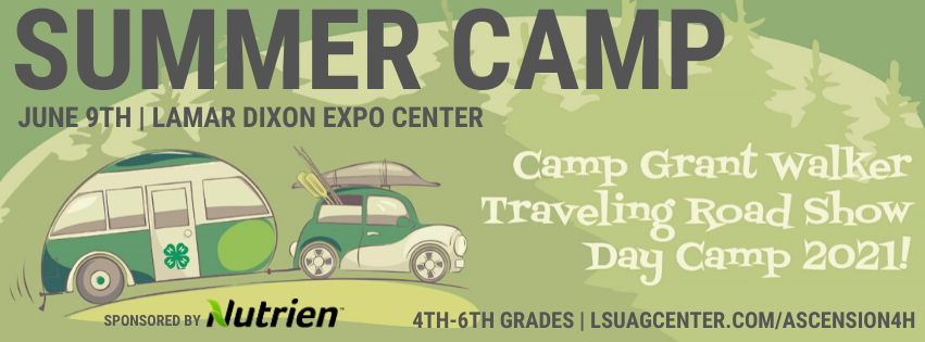 2021 4-H Summer Day Camp